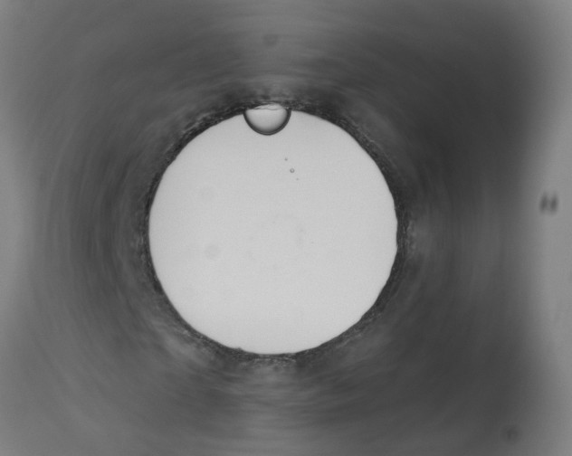 X0000112780865200909171334