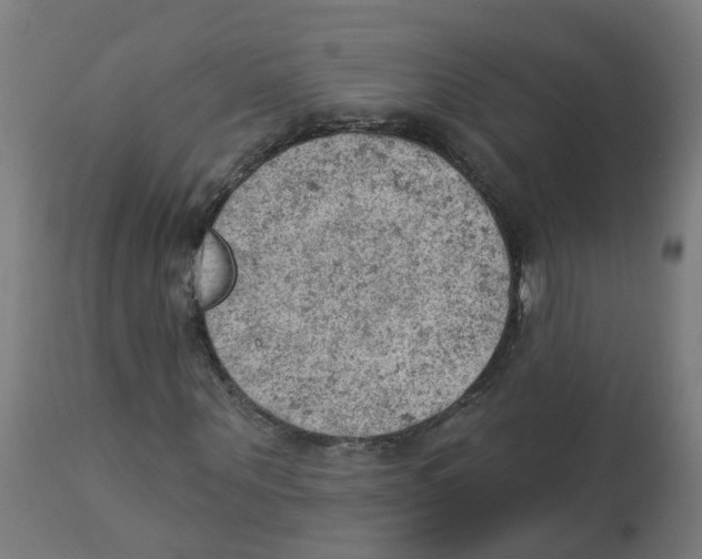 X0000112780867200909171334