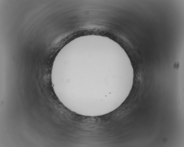 X0000112780869200909171334