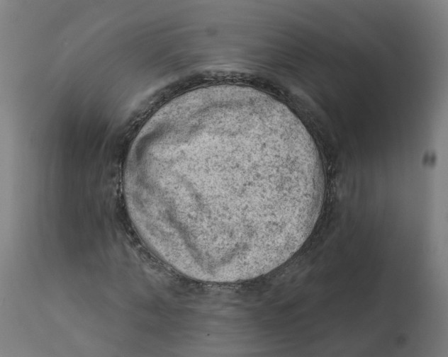 X0000112780870200909171334