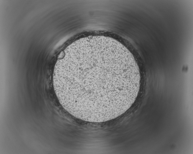 X0000112780871200909171334