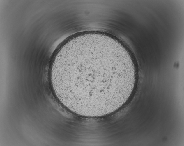 X0000112780875200909171334