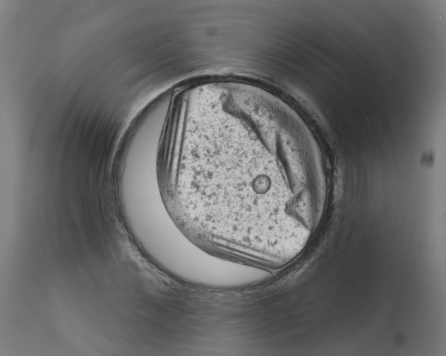 X0000112780876200909171334