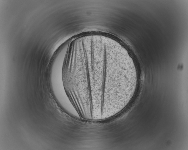 X0000112780877200909171334