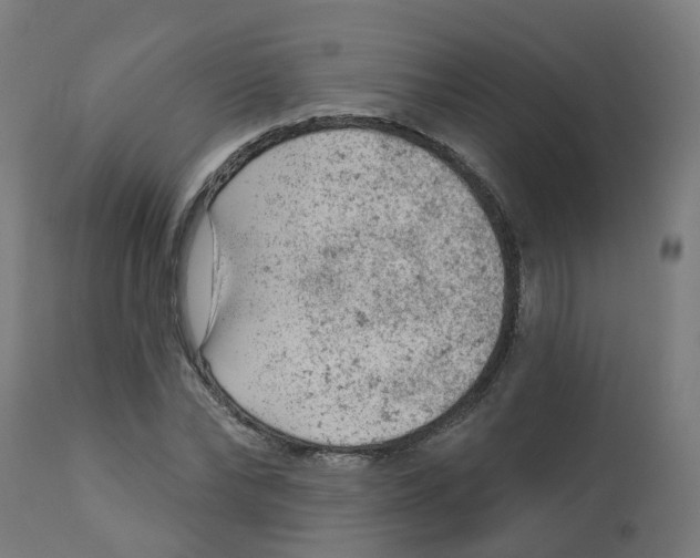 X0000112780878200909171334