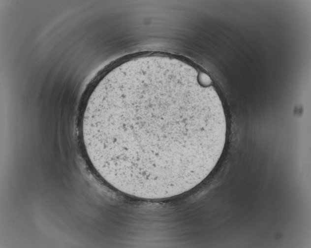 X0000112780880200909171334