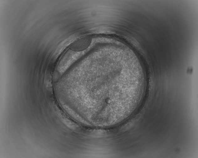 X0000112780881200909171334