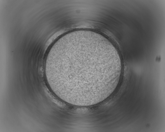 X0000112780882200909171334