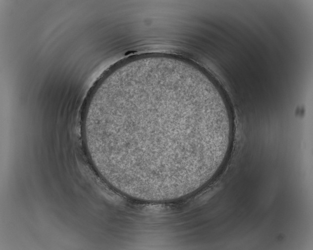 X0000112780883200909171334