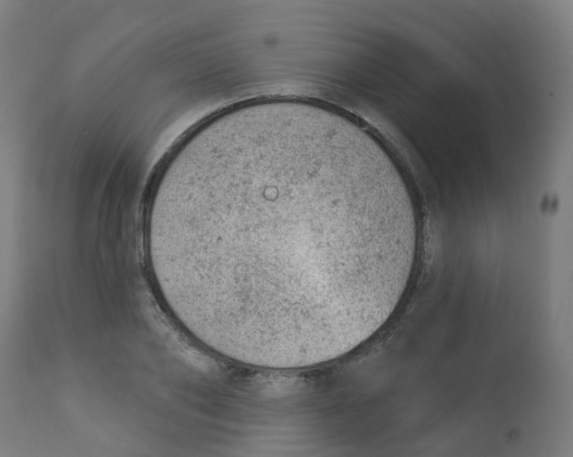 X0000112780886200909171334