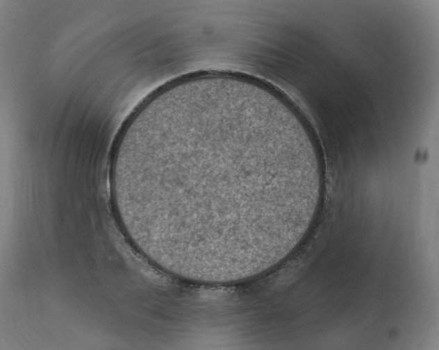 X0000112780887200909171334