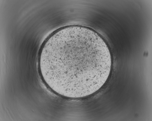 X0000112780888200909171334