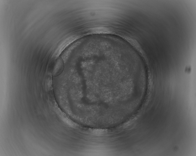 X0000112780889200909171334