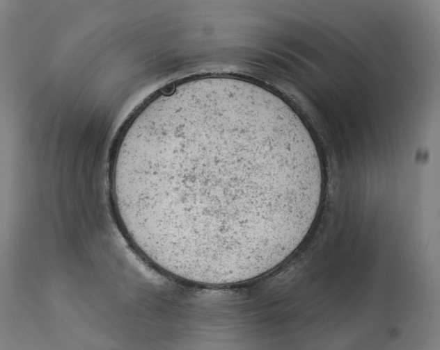 X0000112780894200909171333