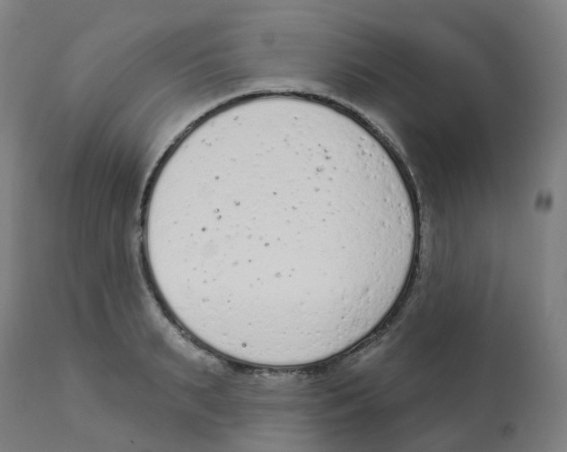 X0000112780895200909171333