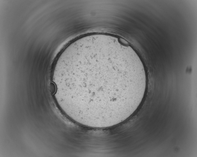 X0000112780896200909171333