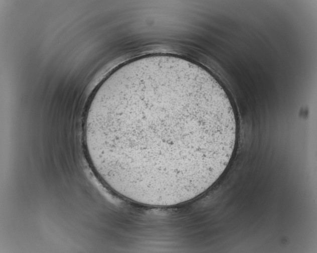 X0000112780898200909171333