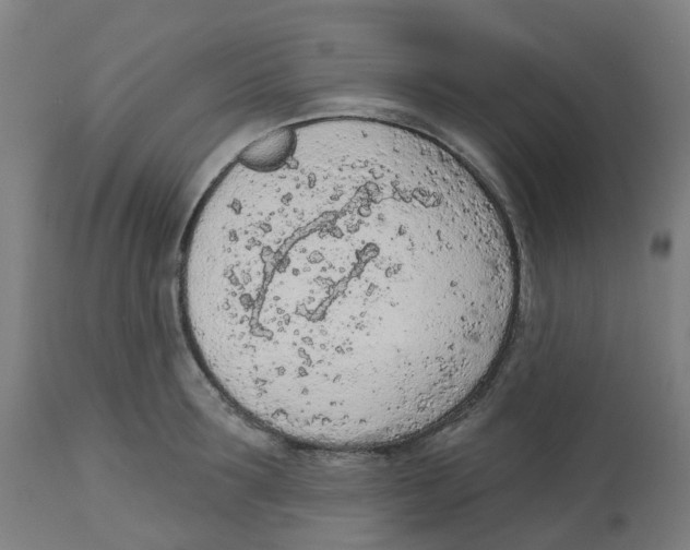 X0000112780899200909171333