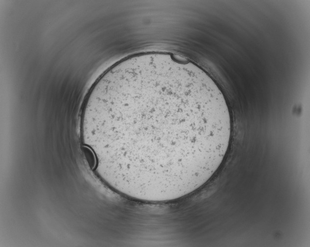 X0000112780900200909171333