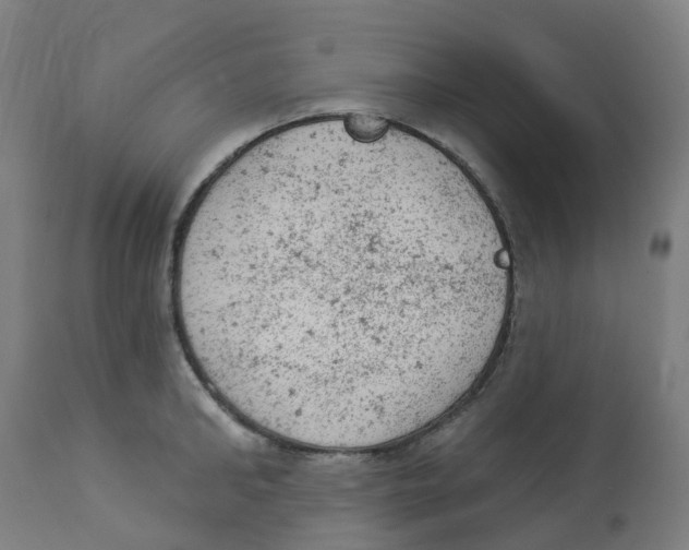 X0000112780902200909171333