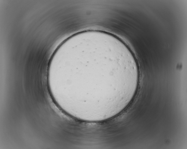 X0000112780903200909171333