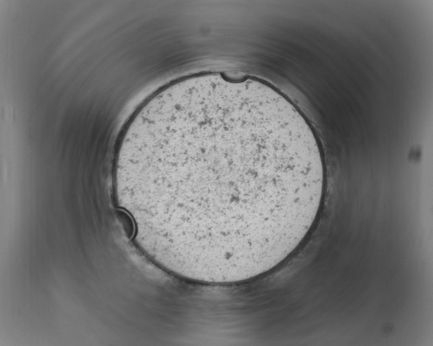 X0000112780904200909171333