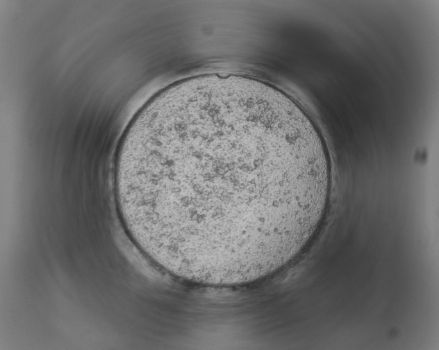 X0000112780907200909171333