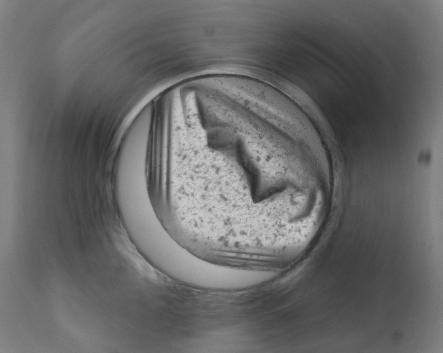 X0000112780908200909171333