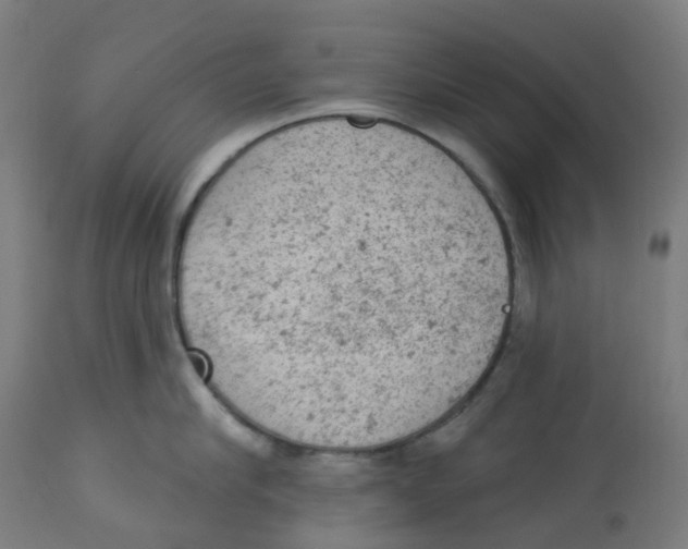 X0000112780910200909171333