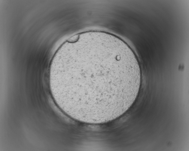 X0000112780911200909171333