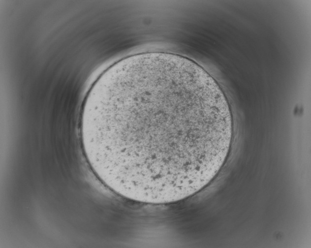 X0000112780912200909171333