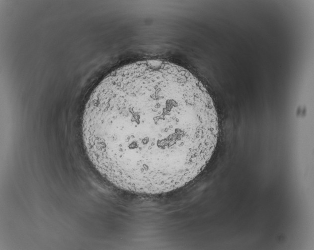 X0000112780913200909171333