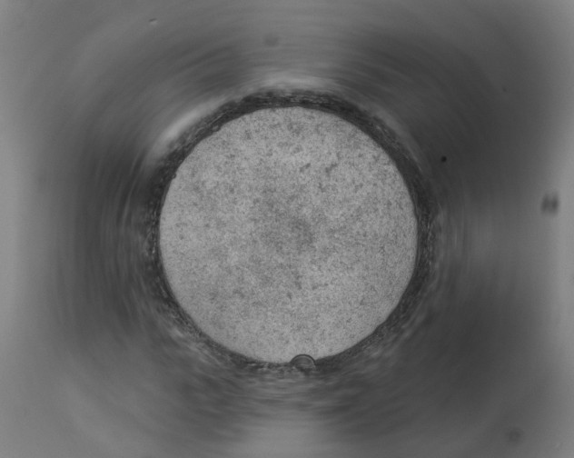 X0000112780919200909171333