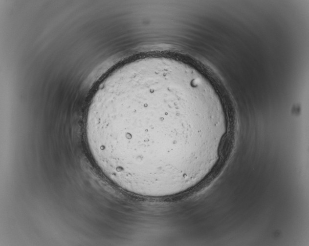 X0000112780921200909171333