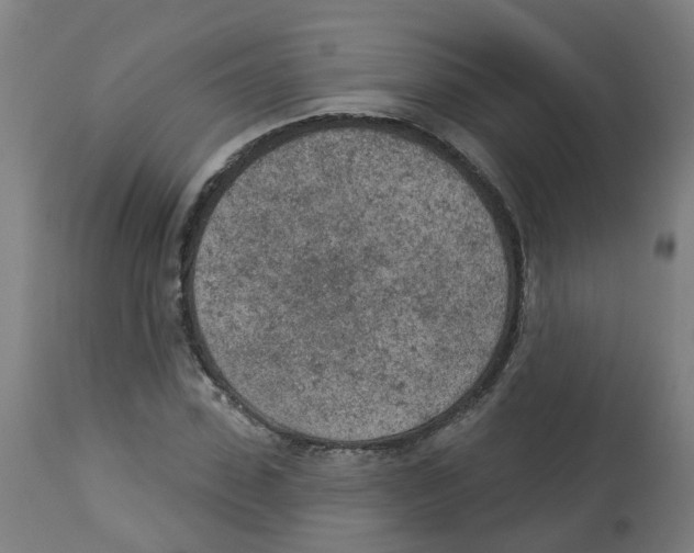 X0000112780923200909171333