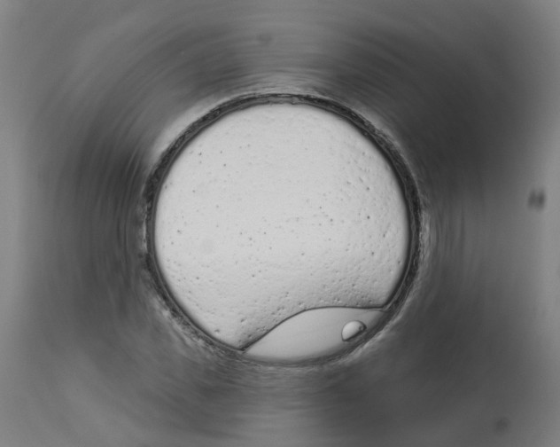 X0000112780925200909171333