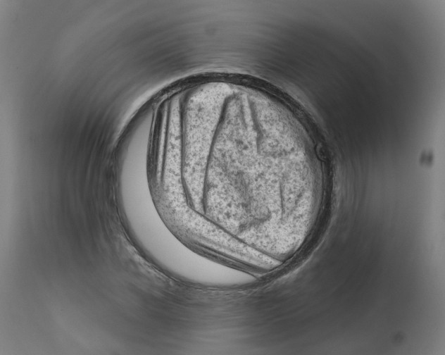 X0000112780926200909171333