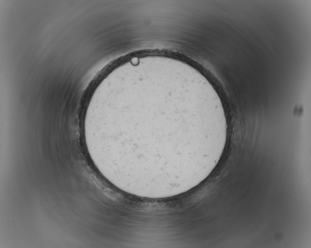 X0000112780927200909171333