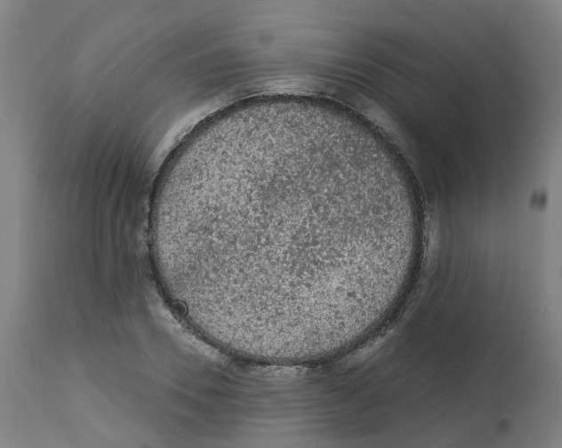 X0000112780930200909171333