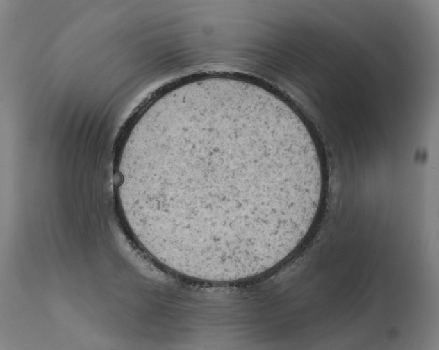 X0000112780934200909171333