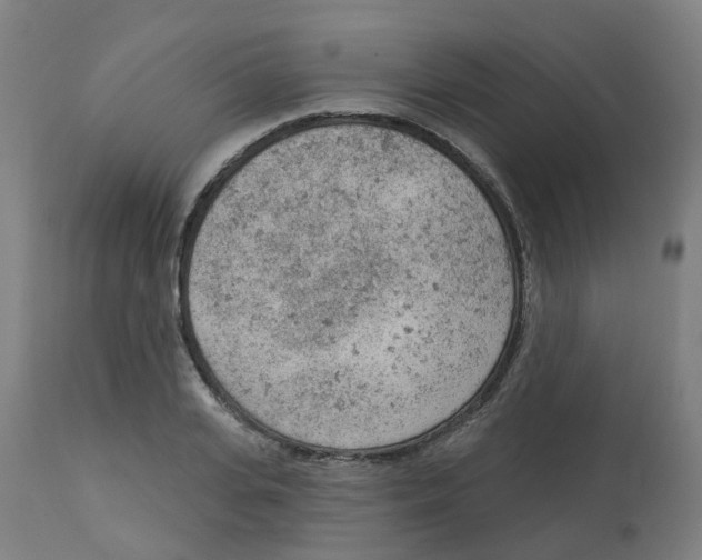 X0000112780935200909171333