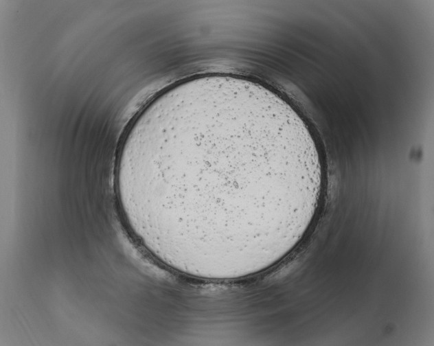 X0000112780938200909171333