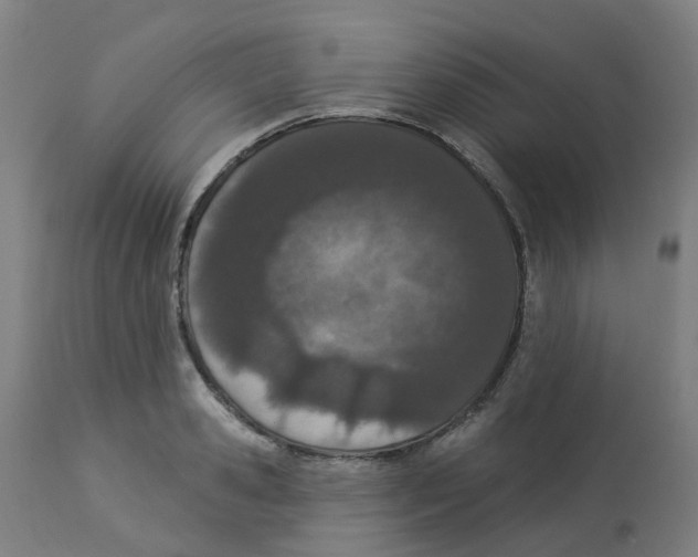 X0000112780941200909171333