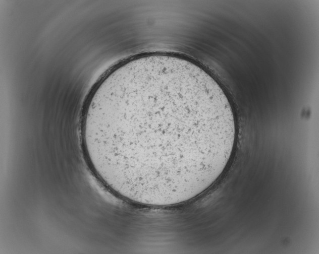 X0000112780942200909171333