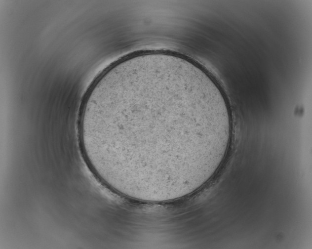 X0000112780943200909171333