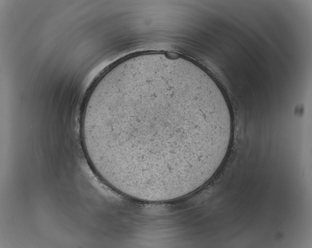 X0000112780944200909171333