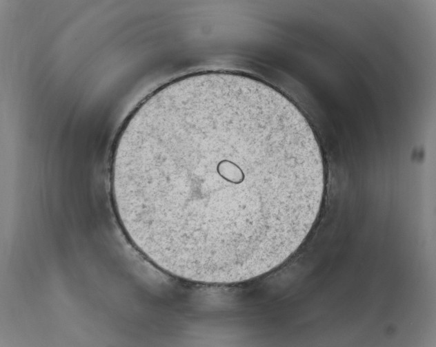 X0000112780950200909171333