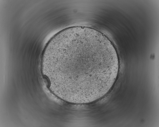 X0000112780952200909171333