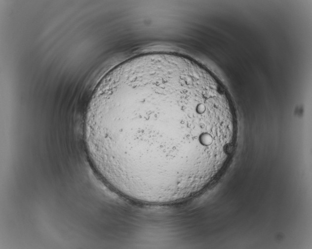 X0000112780953200909171333