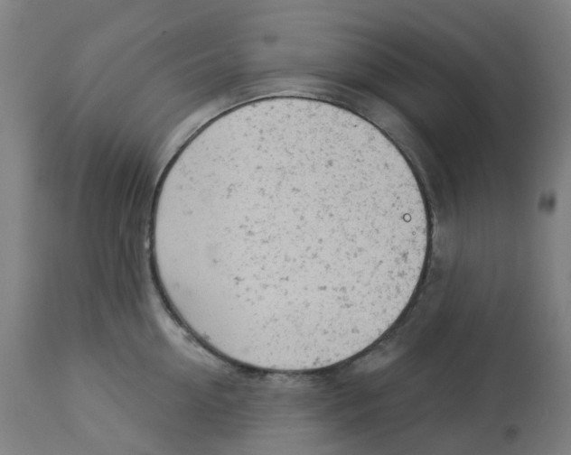 X0000112780954200909171333